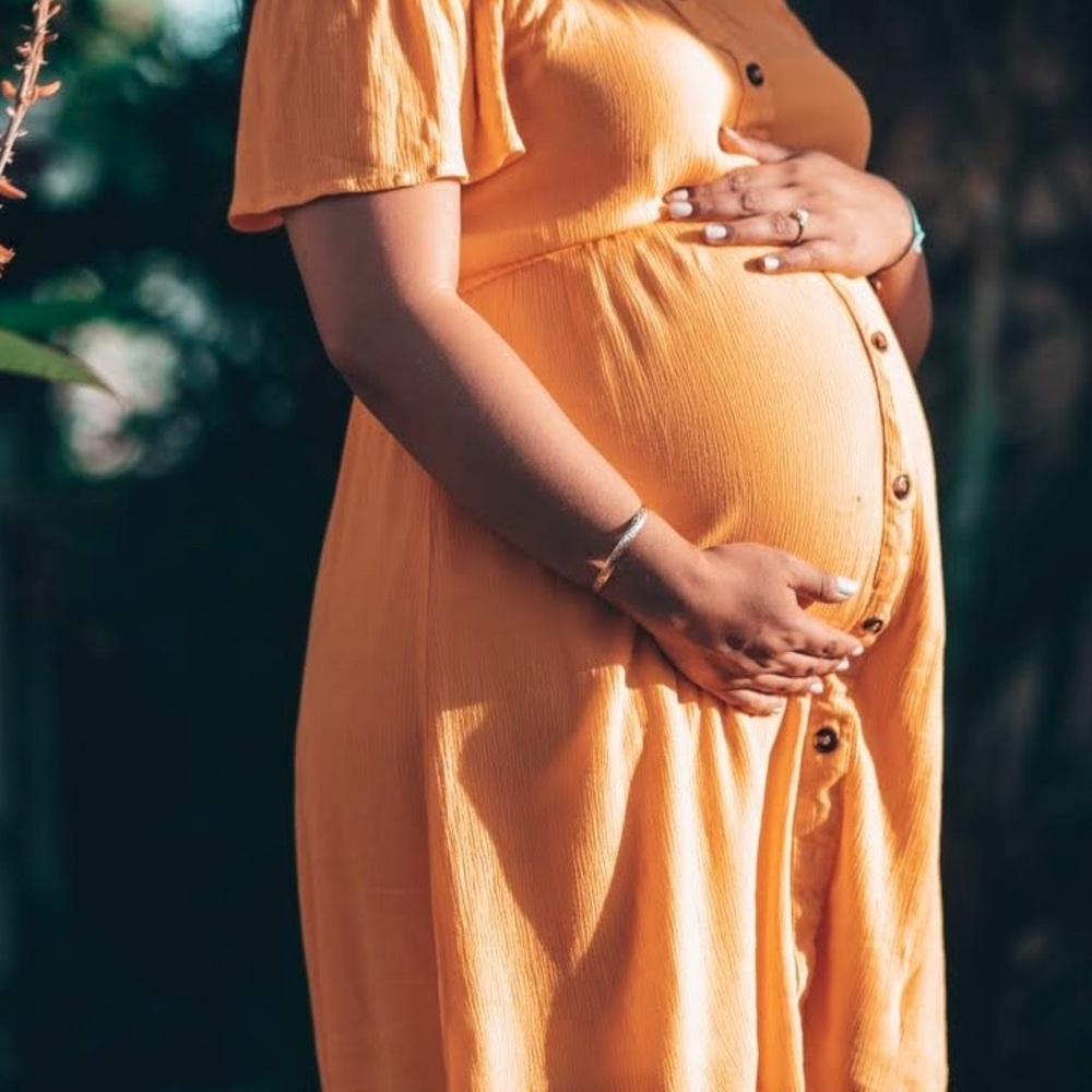 Stella Tweed Maternity Dress